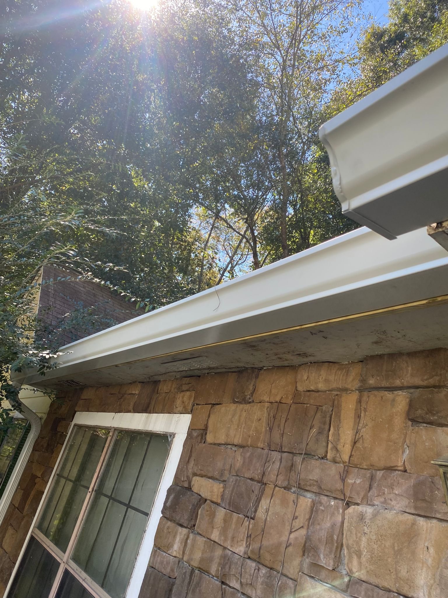 WhatsApp-Image-2022-11-21-at-4.21.48-PM